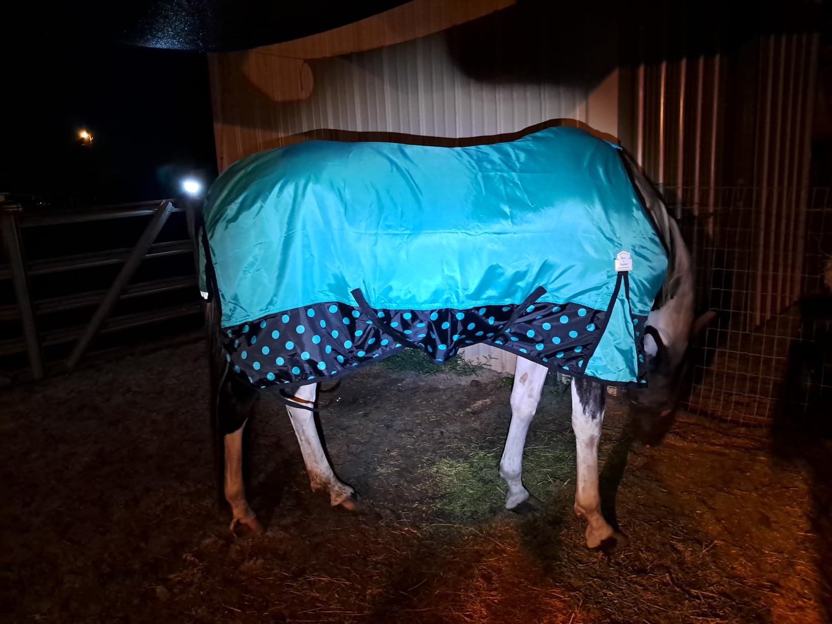 BARN & STABLE 420D Ripstop Lightweight Horse Turnout Sheet, No Fill, Water-Resistant & Breathable Horse Blanket for Spring and Mild Weather, with Anti-Rub Fleece Withers customer photo 1