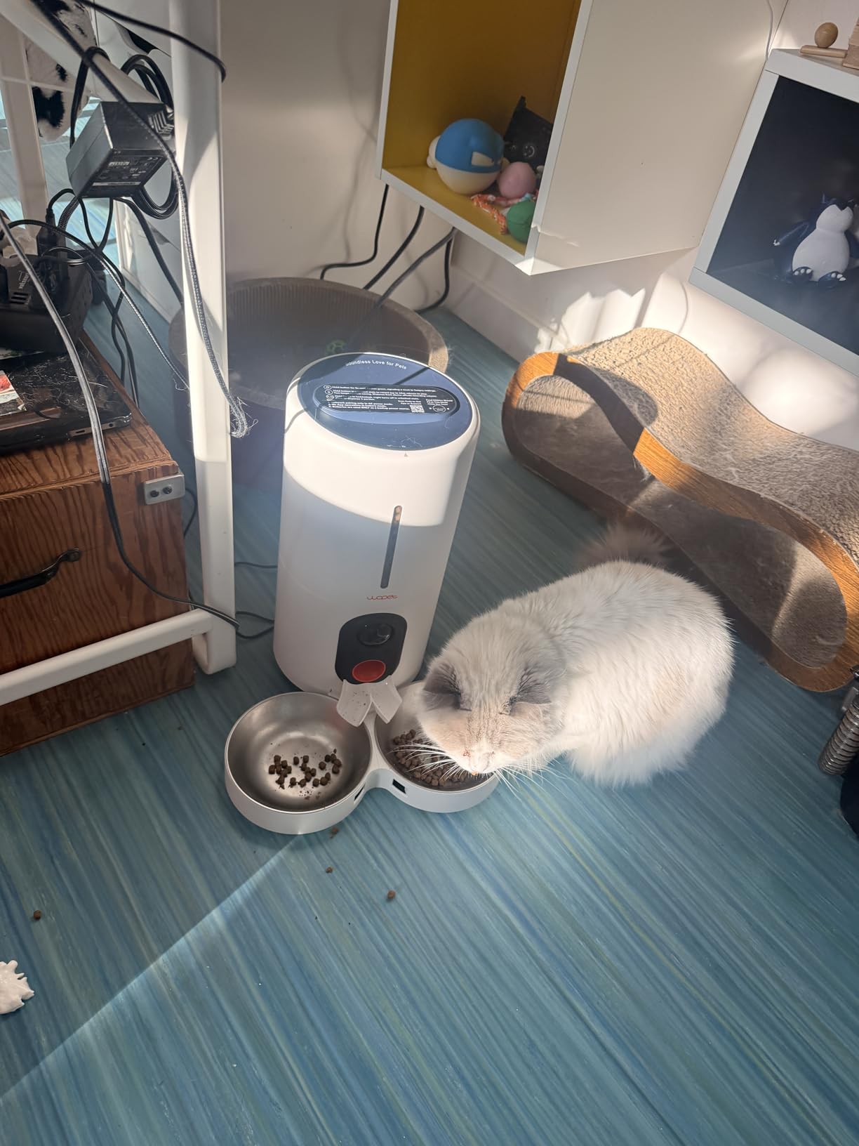 WOPET Automatic Dog Feeder with Camera, 1080P HD Video with Night Vision, 5GHz/2.4GHz Dog Food Dispenser with App Control, 4GB SD Card, 2-Way Audio for Cats & Dogs customer photo 1