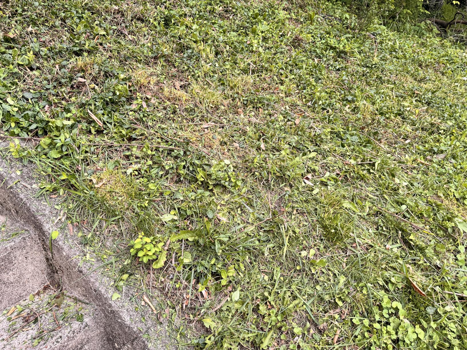 40V 14
