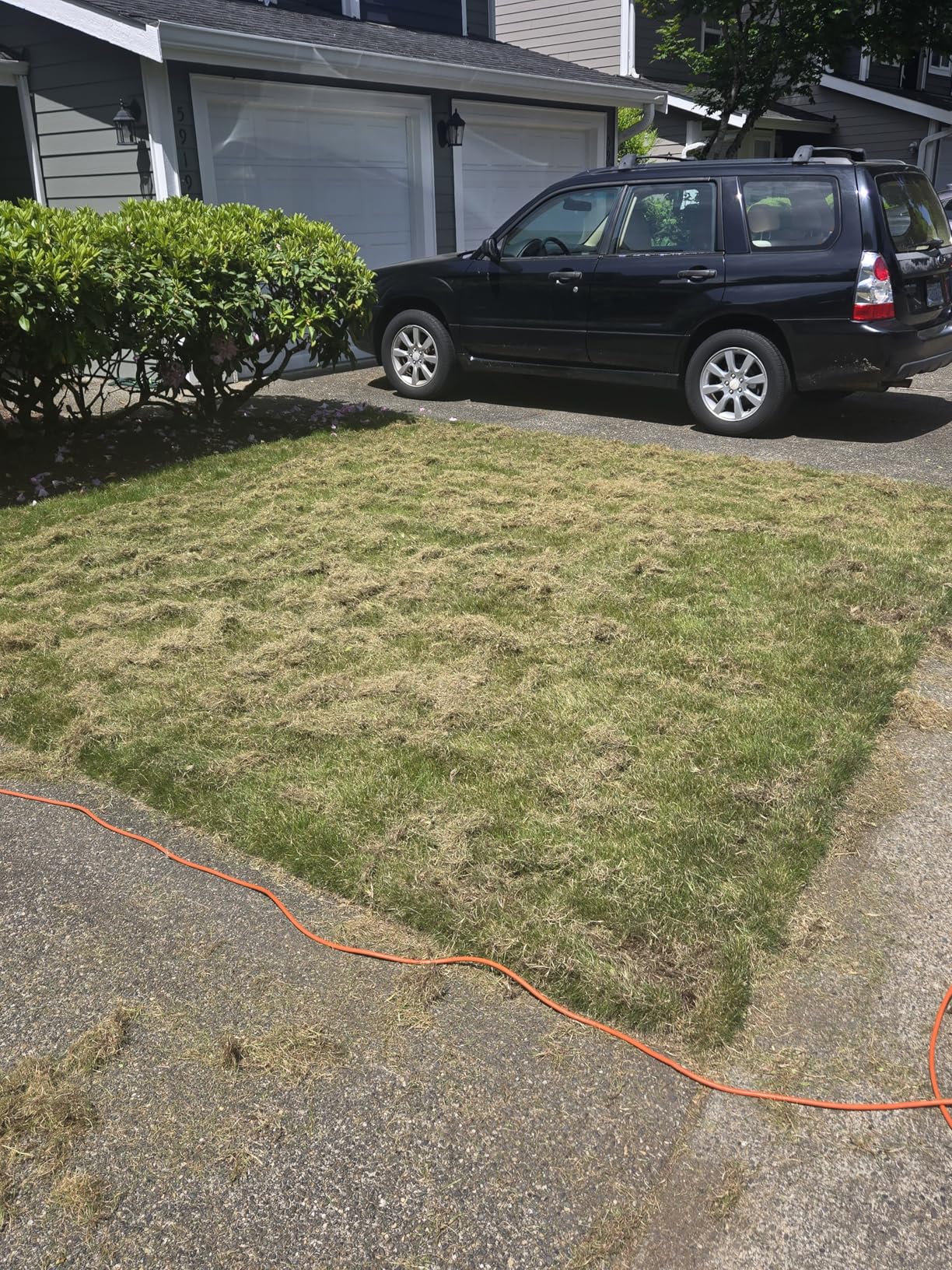 MZK 13-inch 13-Amp 2-in-1 Electric Dethatcher and Scarifier w/Removeable 4-Position Height Adjustment, Lawn dethatcher w/8-Gallon Thatch Collection Bag, Keep Lawn Health (RED) customer photo 1