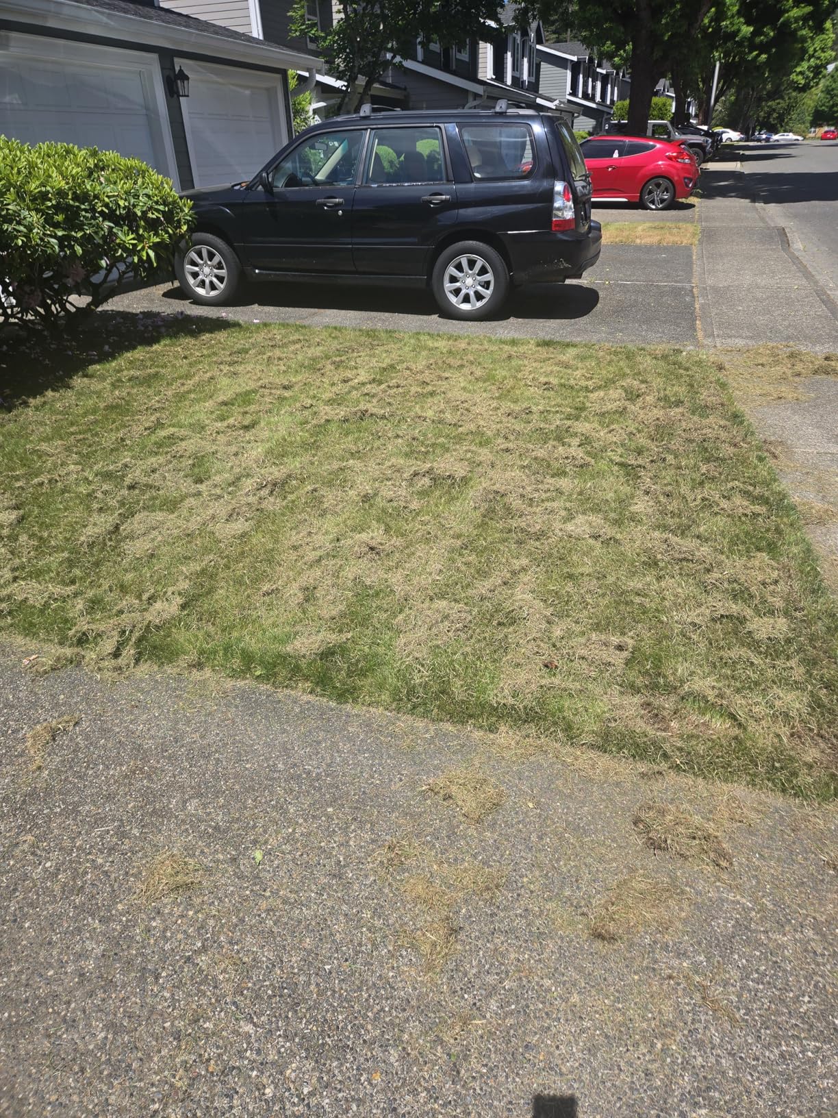 MZK 13-inch 13-Amp 2-in-1 Electric Dethatcher and Scarifier w/Removeable 4-Position Height Adjustment, Lawn dethatcher w/8-Gallon Thatch Collection Bag, Keep Lawn Health (RED) customer photo 2