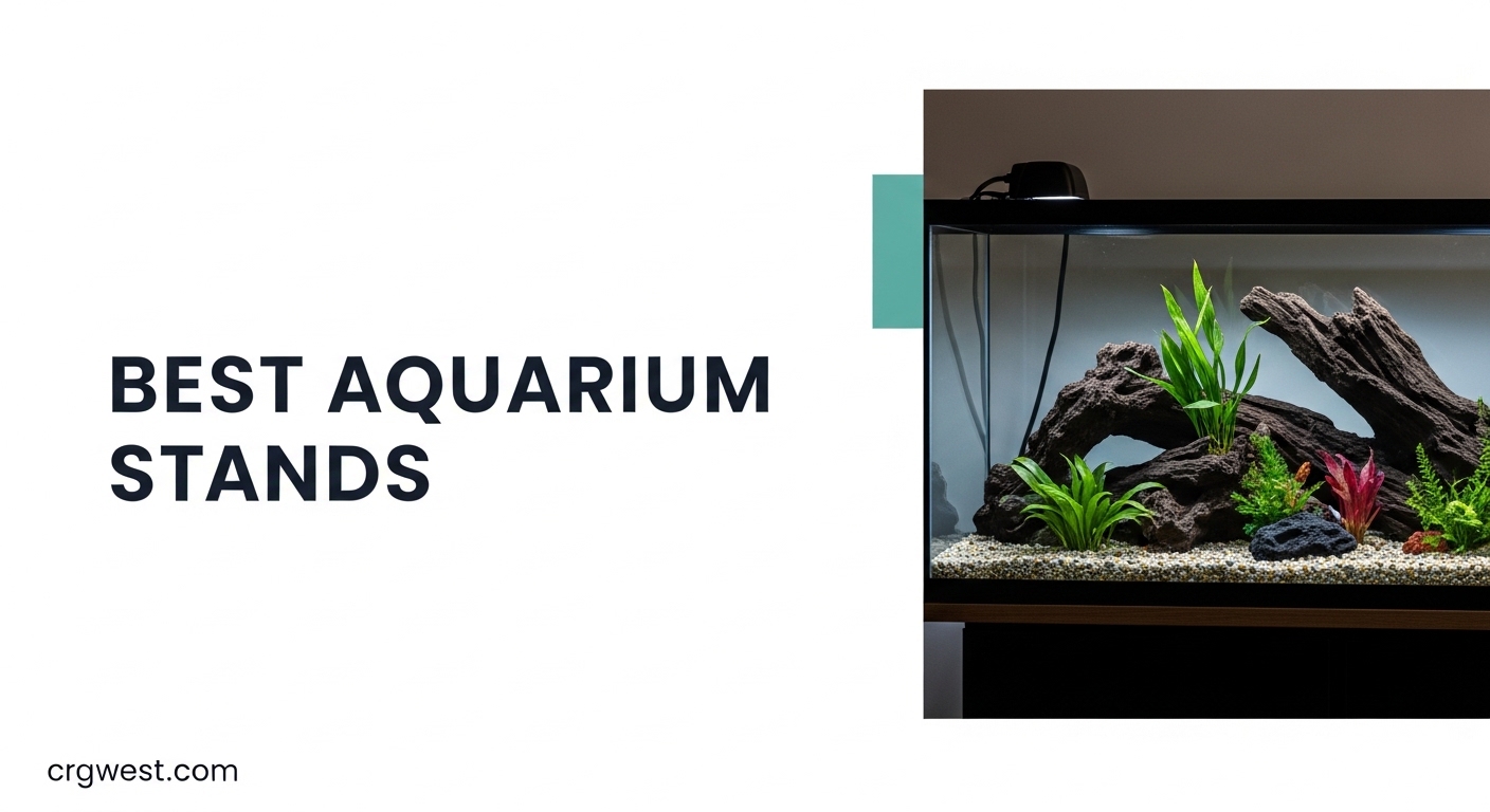 Best Aquarium Stands