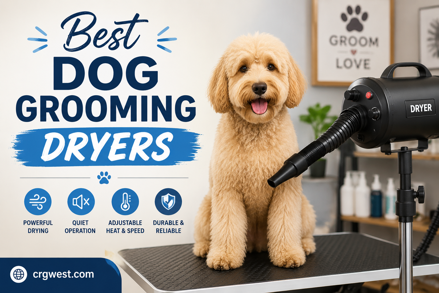 Best Dog Grooming Dryers