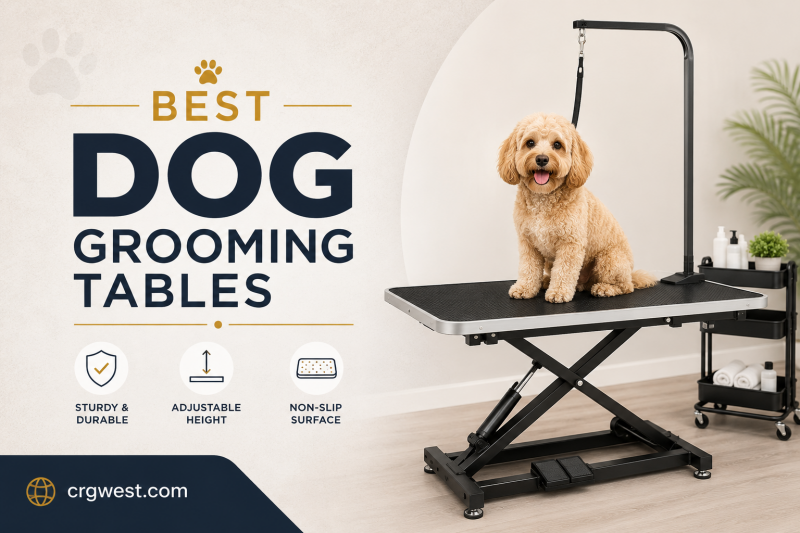 Best Dog Grooming Tables