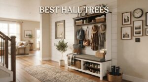 Best Hall Trees
