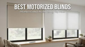 Best Motorized Blinds