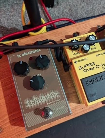 TC Electronic Echobrain Analog Delay Pedal customer photo 1