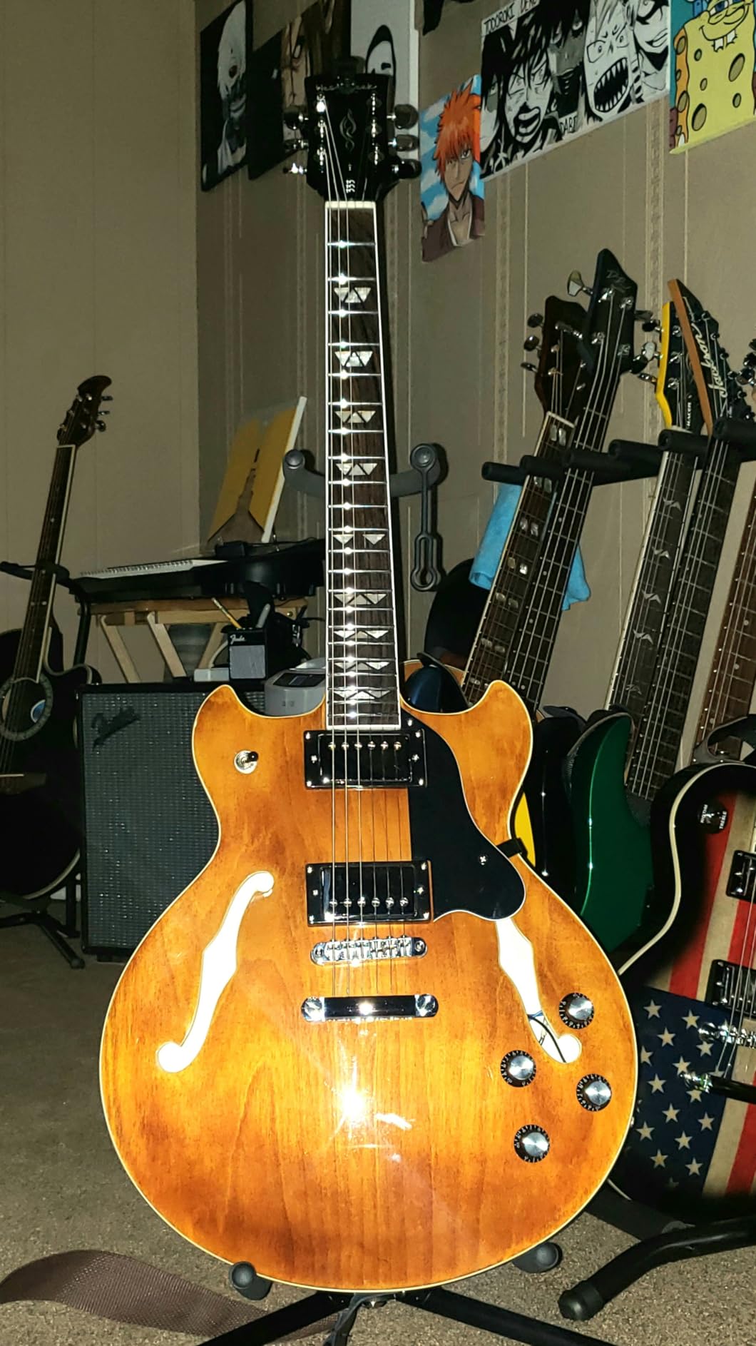 WestCreek 333 Electric Guitar with 6 String, Semi Hollow Body Jazz Electric Guitar, Humbucker Pickups, Rosewood Fretboard customer photo 2