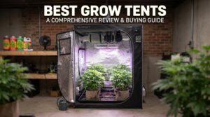 Best Grow Tents