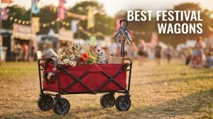 best festival wagons