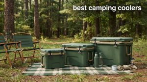 best camping coolers